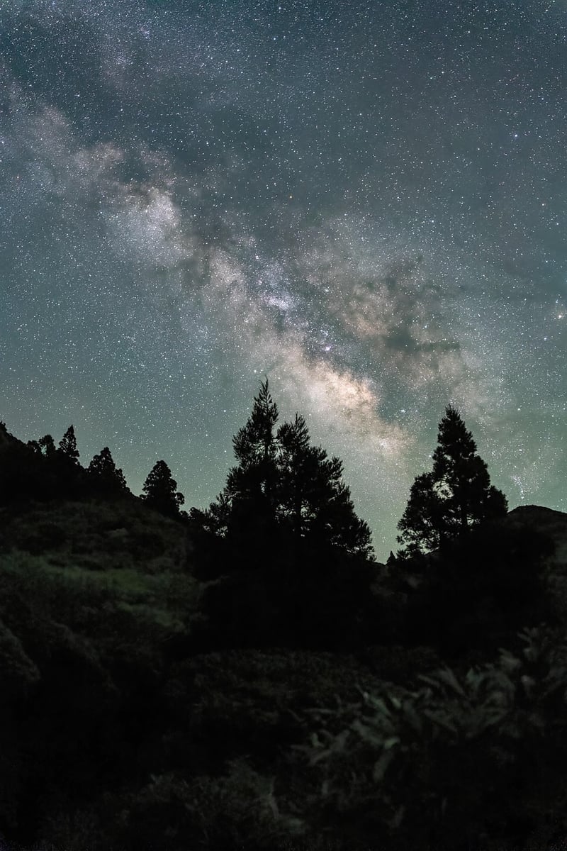 Moonlit Sky